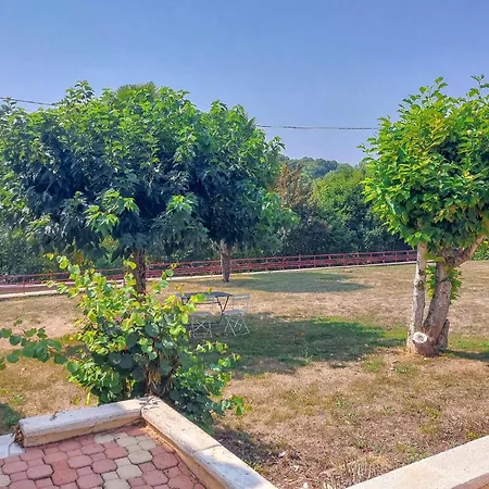 Lovely In With Wifi *