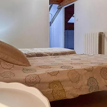 Pet Friendly In *