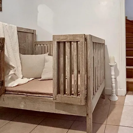 Pet Friendly In