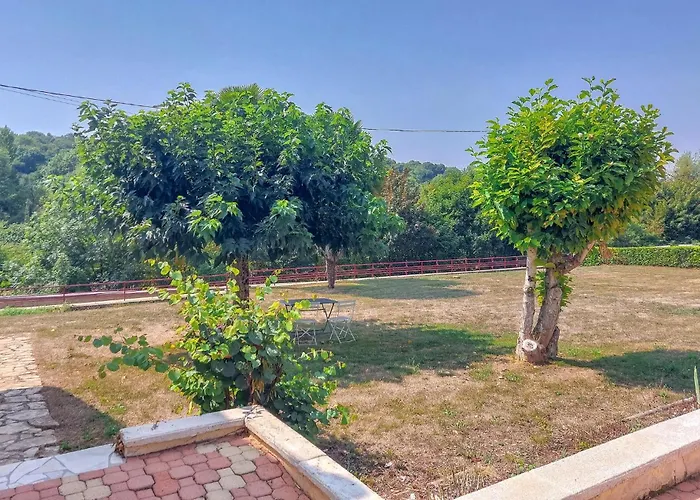 Lovely In With Wifi *